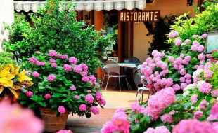 Ristorante Dal Falco is near Il Pozzo, a luxury villa in Tuscany